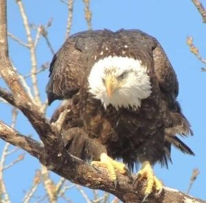 Meet your Posher, Renay